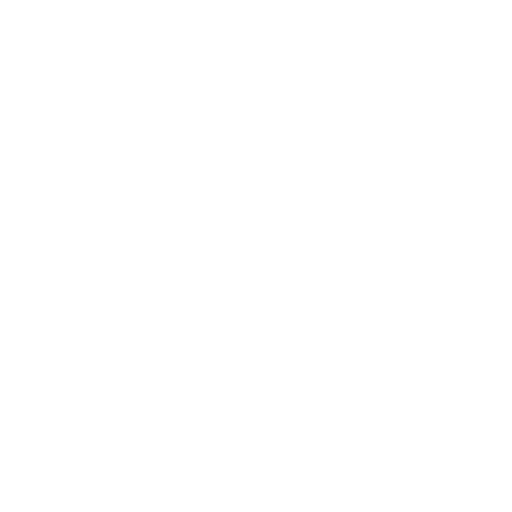 NIC LOGO